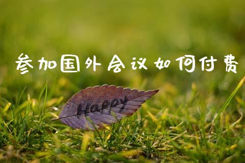 参加国外会议如何付费_https://m.fsyjjx.cn_期货保证金_第1张