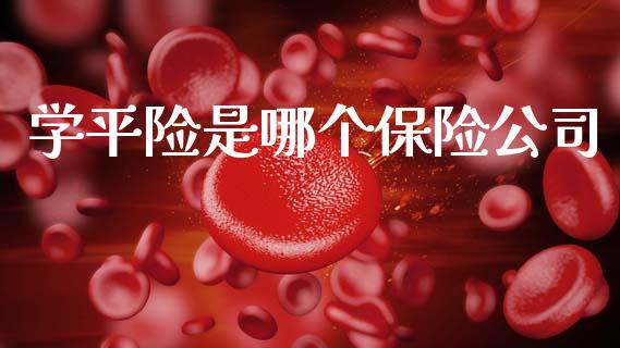 学平险是哪个保险公司_https://m.fsyjjx.cn_股指期货保证金_第1张