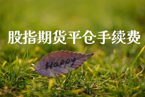 股指期货平仓手续费_https://m.fsyjjx.cn_期货如何开户_第1张
