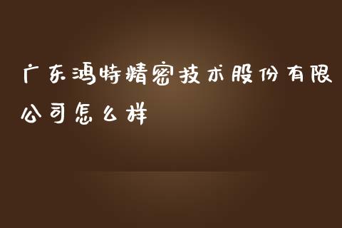 广东鸿特精密技术股份有限公司怎么样_https://m.fsyjjx.cn_期货保证金计算_第1张