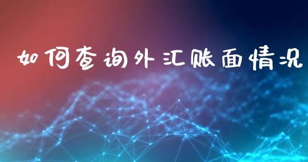 如何查询外汇账面情况_https://m.fsyjjx.cn_期货保证金_第1张