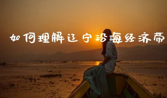 如何理解辽宁沿海经济带_https://m.fsyjjx.cn_期货如何开户_第1张