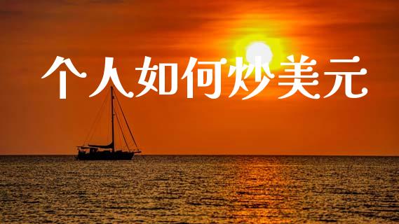 个人如何炒美元_https://m.fsyjjx.cn_股指期货保证金_第1张