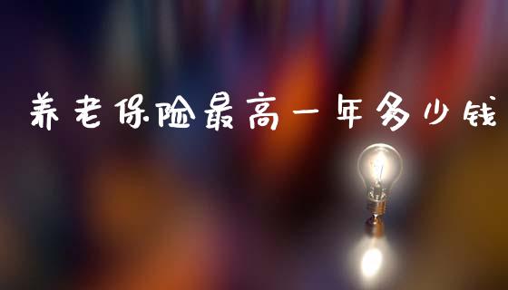 养老保险最高一年多少钱_https://m.fsyjjx.cn_股指期货保证金_第1张