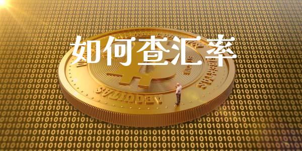 如何查汇率_https://m.fsyjjx.cn_期货保证金_第1张