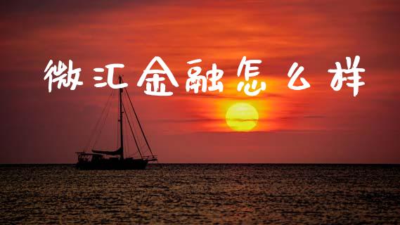 微汇金融怎么样_https://m.fsyjjx.cn_期货保证金_第1张