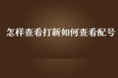 怎样查看打新如何查看配号_https://m.fsyjjx.cn_股指期货保证金_第1张