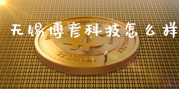无锡博彦科技怎么样_https://m.fsyjjx.cn_期货保证金计算_第1张