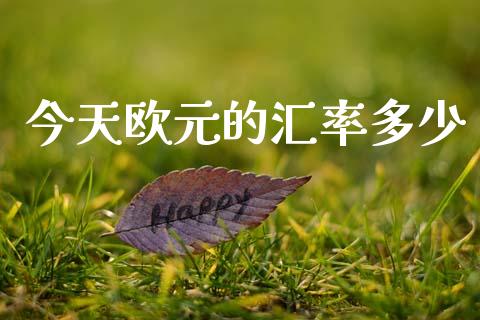 今天欧元的汇率多少_https://m.fsyjjx.cn_期货保证金计算_第1张