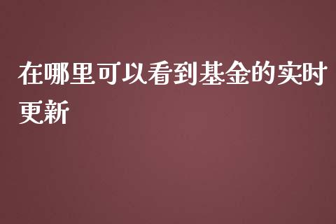在哪里可以看到基金的实时更新_https://m.fsyjjx.cn_期货保证金计算_第1张