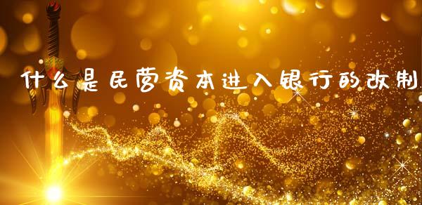 什么是民营资本进入银行的改制_https://m.fsyjjx.cn_股指期货保证金_第1张