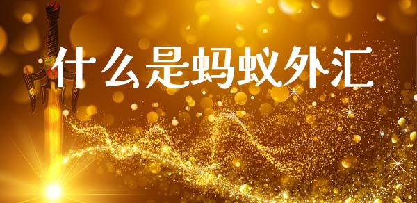 什么是蚂蚁外汇_https://m.fsyjjx.cn_期货保证金_第1张