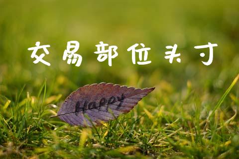 交易部位头寸_https://m.fsyjjx.cn_期货保证金计算_第1张