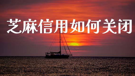 芝麻信用如何关闭_https://m.fsyjjx.cn_期货保证金计算_第1张