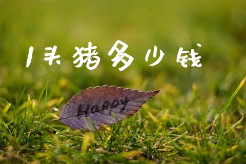 1头猪多少钱_https://m.fsyjjx.cn_股指期货保证金_第1张