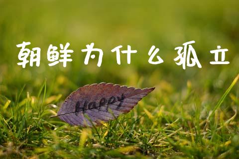 朝鲜为什么孤立_https://m.fsyjjx.cn_股指期货保证金_第1张