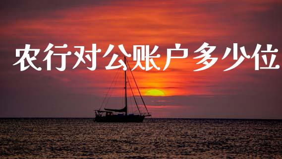 农行对公账户多少位_https://m.fsyjjx.cn_期货保证金_第1张