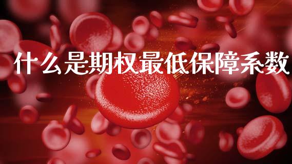 什么是期权最低保障系数_https://m.fsyjjx.cn_期货保证金计算_第1张
