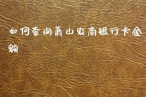 如何查询萧山农商银行卡金额_https://m.fsyjjx.cn_期货保证金_第1张