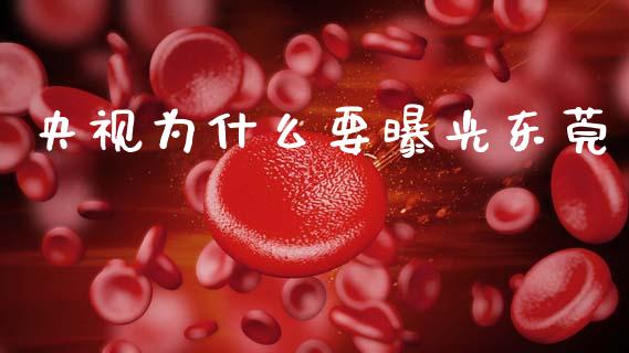 央视为什么要曝光东莞_https://m.fsyjjx.cn_期货保证金_第1张
