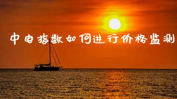 中电指数如何进行价格监测_https://m.fsyjjx.cn_期货保证金计算_第1张