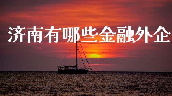 济南有哪些金融外企_https://m.fsyjjx.cn_期货如何开户_第1张