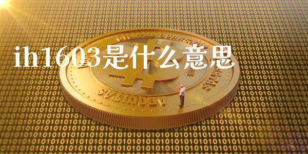 ih1603是什么意思_https://m.fsyjjx.cn_股指期货保证金_第1张