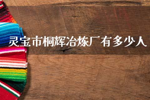 灵宝市桐辉冶炼厂有多少人_https://m.fsyjjx.cn_期货保证金计算_第1张