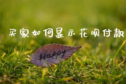 买家如何显示花呗付款_https://m.fsyjjx.cn_期货保证金_第1张