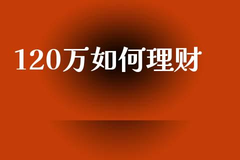 120万如何理财_https://m.fsyjjx.cn_期货保证金_第1张