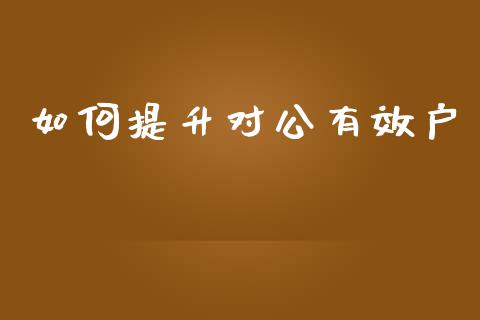 如何提升对公有效户_https://m.fsyjjx.cn_期货如何开户_第1张
