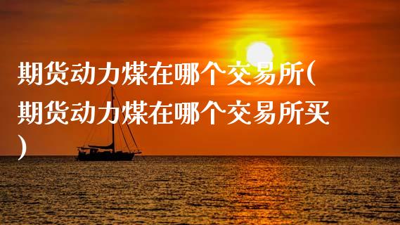 期货动力煤在哪个交易所(期货动力煤在哪个交易所买)_https://m.fsyjjx.cn_股指期货保证金_第1张