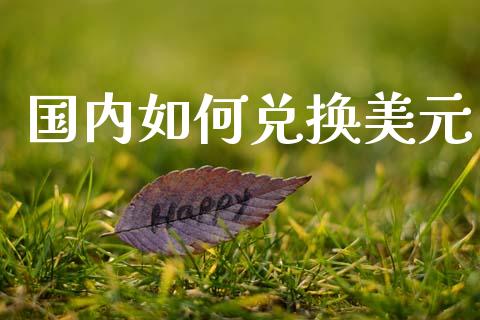 国内如何兑换美元_https://m.fsyjjx.cn_股指期货保证金_第1张