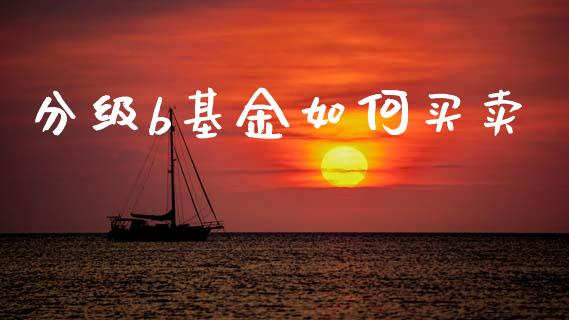 分级b基金如何买卖_https://m.fsyjjx.cn_期货保证金_第1张