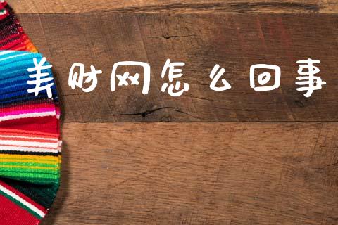 美财网怎么回事_https://m.fsyjjx.cn_期货保证金计算_第1张