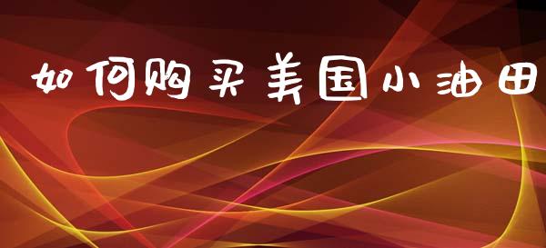 如何购买美国小油田_https://m.fsyjjx.cn_股指期货保证金_第1张