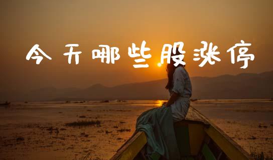 今天哪些股涨停_https://m.fsyjjx.cn_股指期货保证金_第1张