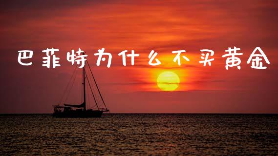 巴菲特为什么不买黄金_https://m.fsyjjx.cn_期货保证金计算_第1张