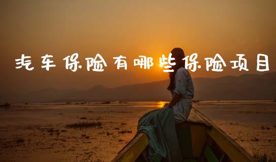 汽车保险有哪些保险项目_https://m.fsyjjx.cn_期货保证金_第1张