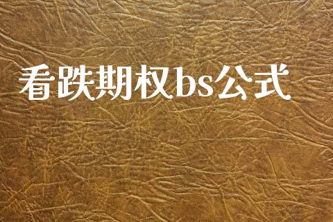 看跌期权bs公式_https://m.fsyjjx.cn_期货保证金_第1张
