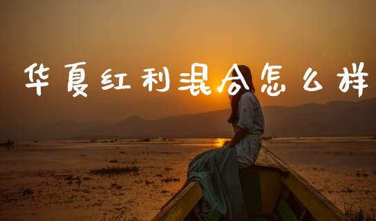 华夏红利混合怎么样_https://m.fsyjjx.cn_期货保证金计算_第1张