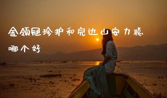 金领冠珍护和完达山安力聪哪个好_https://m.fsyjjx.cn_股指期货保证金_第1张