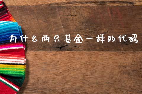 为什么两只基金一样的代码_https://m.fsyjjx.cn_股指期货保证金_第1张