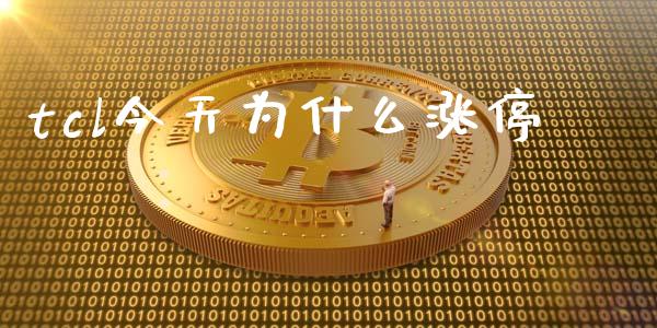 tcl今天为什么涨停_https://m.fsyjjx.cn_期货保证金_第1张