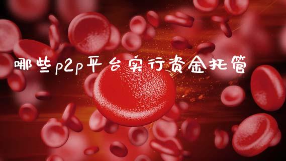 哪些p2p平台实行资金托管_https://m.fsyjjx.cn_期货如何开户_第1张