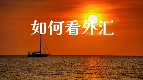 如何看外汇_https://m.fsyjjx.cn_期货保证金_第1张