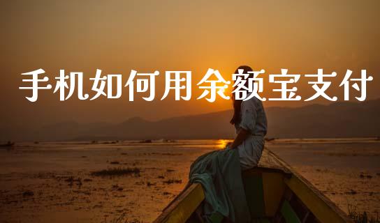 手机如何用余额宝支付_https://m.fsyjjx.cn_期货保证金计算_第1张