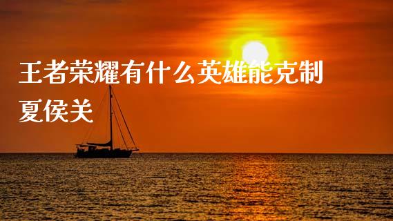 王者荣耀有什么英雄能克制夏侯关_https://m.fsyjjx.cn_期货如何开户_第1张