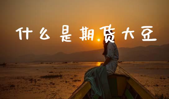 什么是期货大豆_https://m.fsyjjx.cn_股指期货保证金_第1张