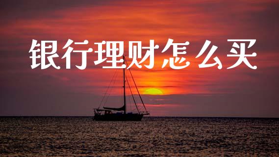 银行理财怎么买_https://m.fsyjjx.cn_期货保证金_第1张